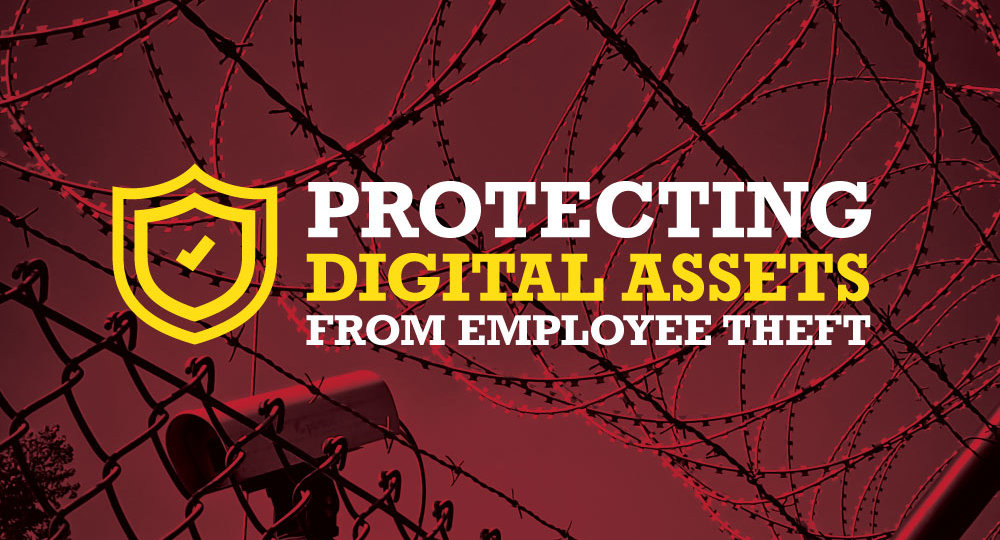 Protecting Digital Asses from Employee Theft
